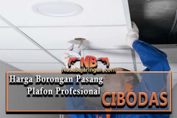 Jual Plafon PVC Cibodas: Solusi Tepat untuk Atap yang Kuat dan Awet